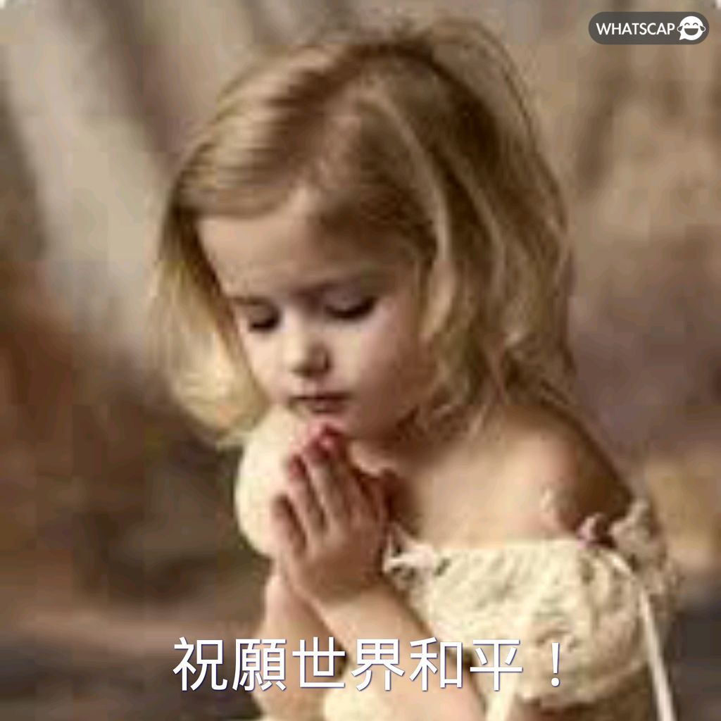 普羅維德爾,逆轉戰勝,補時階段頭,世界杯转播,2026世界杯,赛事直播,回放观看,直播平台