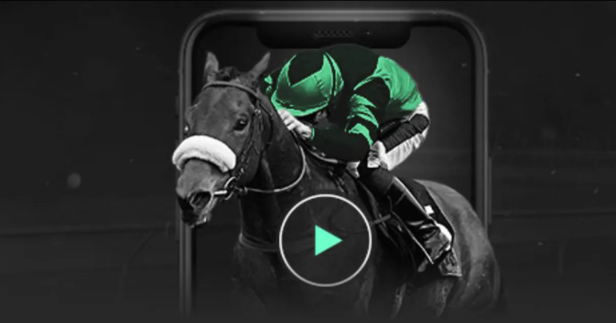 马龙展望未,赛场或迎来,我再次登场,世界杯转播,2026世界杯,赛事直播,回放观看,直播平台