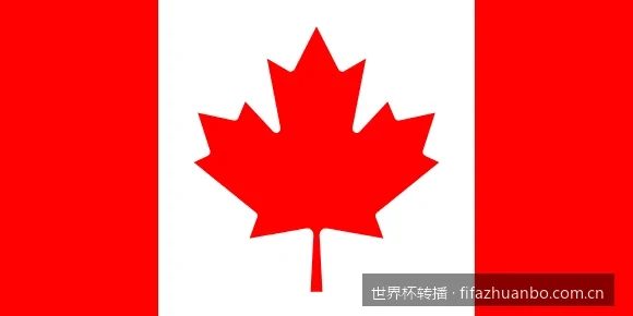 智能电视与投影仪如何安装世界杯转播软件？超详细大屏观赛指南