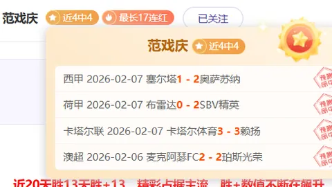 羽毛球：携手共赏这项运动魅力